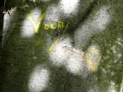 Immagine sofia 110.jpg